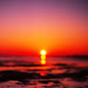 Meet your Posher, Sariah